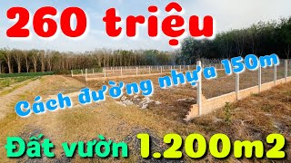 Bán 4 miếng đất vườn 1.200m2 giá rẻ 260 triệu cách đường nhựa 150m ở Long Vĩnh Châu Thành Tây Ninh