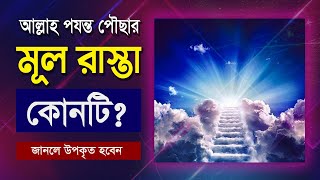 আল্লাহ পর্যন্ত পৌছার মূল রাস্তা কোনটি || জানলে উপকৃত হবেন || হাবিবুর রহমান রেজভী || তরিকত টিভি