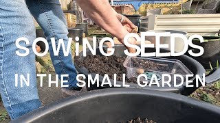 Sowing veg Seeds in the Small Garden/plot in early spring