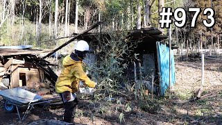 倒壊した鎧張り小屋の片付け12｜トタン小屋前の竹を切り倒してスッキリ