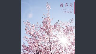 声声祝福 (春节版)