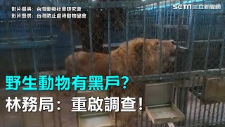 野生動物有黑戶？林務局：重啟調查！｜三立新聞網SETN.com