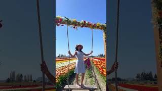 🌷அமெரிக்காவில் Tulip Flowers நடுவில் ஊஞ்சல் 📸🌞 💢#ytshorts #tamilshorts #shorts #trending