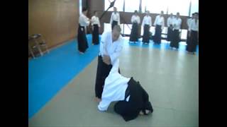 諸手取 IWAMA STYLE AIKIDO 岡山合氣修練道場 H30.12.9②