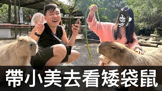 【霸軒】臺南人第一次去頑皮世界｜FUNCT隨旅包｜日常廢片#40