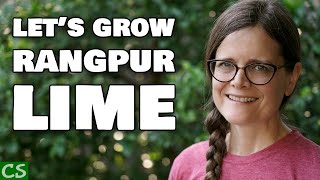 How to Grow Rangpur Lime - Growth Needs, Pests and Disease and Harvest!