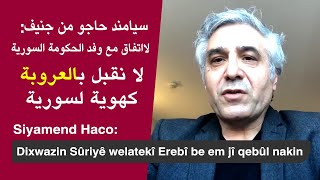 Siyamend Haco: Em Sûriyeke Erebî qebûl nakin سیامند حاجو: لا نقبل بالعروبة كهوية لسوریة