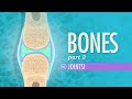 Joints: Crash Course A&P #20 Joints: Crash Course A&P #20