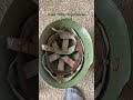 1950s yugoslavian military helmet 🪖 shorts viral yugoslavia slav slavicfamily