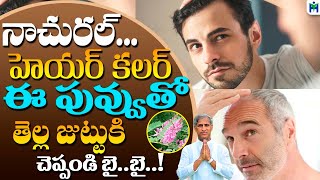 నాచురల్ హెయిర్ కలర్ ఈ పువ్వు తో తెల్ల జుట్టుకి చెప్పండి బై బై | Manthena Satyanarayana | HM |