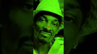 my name is snoop d o motherfucking double g