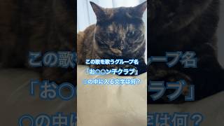 【CAT】クイズ！チュールでドン！　#shorts   #cat   #cats   #cute   #チュール   #ねこ   #猫動画   #猫   #クイズ   #可愛い   #かわいい