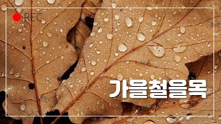 [명리가빛나는밤에 ]S1·E7🍁가을철을목  ㅣ난강망그리고휴식ㅣ천간시리즈ㅣBookandMusicㅣ귀로듣는명리