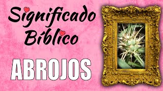 Abrojos Significado Bíblico | ¿Qué Significa Abrojos en la Biblia? 🙏