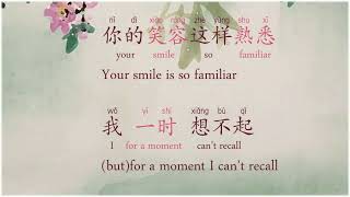 甜蜜蜜 Tián Mì Mì  - The Most Classic of 邓丽君 Dèng Lìjū - Lyrics in Chinese /Pinyin/English