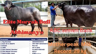 #ABC #Semen #Bank, Andhra pradesh. #world #class Murrah bull #abhimanyu