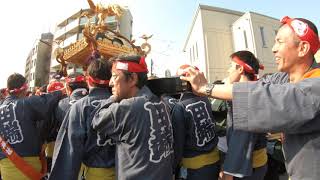 令和元年  　田端八幡神社（ 大祭 ）本社神輿 六年に一度渡御です　迫力満点です　「生」。