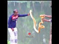 snake prank 😂 | Funny video