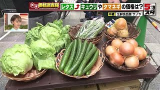 【野菜の価格】レタスの仕入れ価格「20円アップ」　雨で土がドロドロになり収穫ができない　出荷量が減り値上がり【価格調査】 (2024年7月17日)