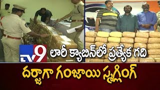 Ganja smugglers arrested in Prakasham - TV9