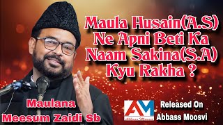 Maula Husain(A.S) Ne Apni Beti Ka Naam Sakina(S.A) Kyu Rakha ? By Maulana Meesum Zaidi