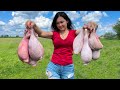 Big Bull Testicles! For Those Who Are Not Afraid of New Things in Cooking