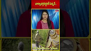 భార్యాభర్తలిద్దరికీ పెన్షన్.. | LIC Pension Plan | hmtv