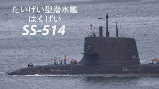 最新鋭・たいげい型潜水艦「はくげい」出港❗️