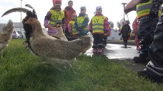 Sjónvarp Víkurfrétta // 28. þáttur  // fimmtudagurinn 2. október 2014