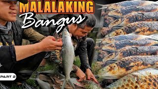 P2-ANLALAKI NG MGA BANGUS!!! - EP1384