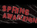 Spring Awakening Cast Announcement