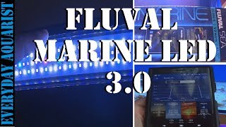 Fluval Marine 3.0 Bluetooth LED Review