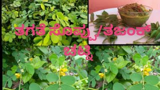 Thajank soppu chutney/Cassia Tora  recipe/Mansoon special in Mangalore and Udupi/ತಗತೆ ಸೊಪ್ಪಿನ ಚಟ್ನಿ