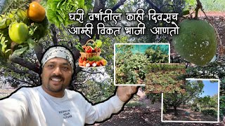 गावात आणि शहरात राहण्यामधील एक छोटा फरक || सेंद्रिय शेती || Vlog