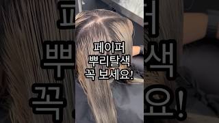 페이퍼 뿌리탈색 하는법