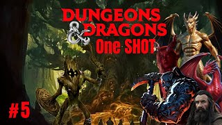 JDR D&D - One Shot - 5 : Le boiseux !!