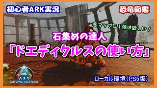 【ASA 恐竜図鑑】石集めの達人「ドエディクルスの使い方」（PS5版）