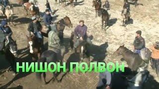 #БУЗКАШИ #УЛОК #КУПКАРИ НИШОН ПОЛВОН ХАКИКИ ПОЛВОН