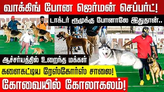 கல்லூரிக்கு சென்ற பாக்ஸர்.. வாக்கிங் போன ஜெர்மன் செப்பர்ட்! களைகட்டிய ரேஸ்கோர்ஸ் சாலை..