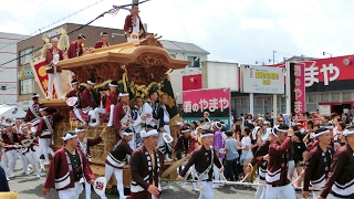 2016年 岸和田市春木だんじり祭（春木大小路町）