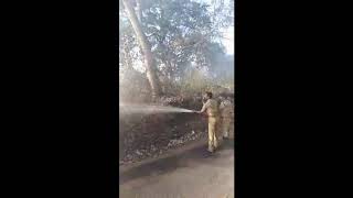 Irinjalakuda Municipality Trunching Ground Fire