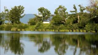 水面に映る風景