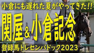 小倉にも遅れた夏がやってきた。[関屋記念]・新潟 ＆ [小倉記念]・小倉（GⅢ）登録馬　トレセンパドック2023