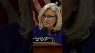 Liz Cheney: Trump Is 'Unfit for Any Office'