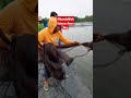 PROSES PANEN PARSIAL TAMBAK UDANG VANAME DI BLOK C #shorts #aabvaname57 #trending #viral