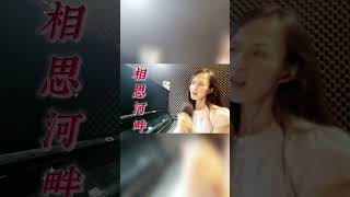 相思河畔 จุดยืนความรัก [Chut yuen khwam rak] (崔萍) Cover by Fenny 國台語經典老歌翻唱