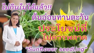 ไม่กินไม่ได้แล้ว ต้นอ่อนทานตะวัน ประโยชน์มากมายต่อสุขภาพ | sunflower seedling | พี่ปลา Healthy Fish