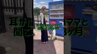 【保育園の前に自販機があって毎日困ってるwww】〜前篇〜