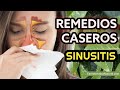 Remedios Caseros para la Sinusitis🤧👃🐽💆‍♀️