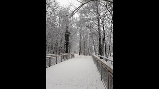 Germany | A glimpse to the Winter memories | ഒരു മഞ്ഞു കാലം